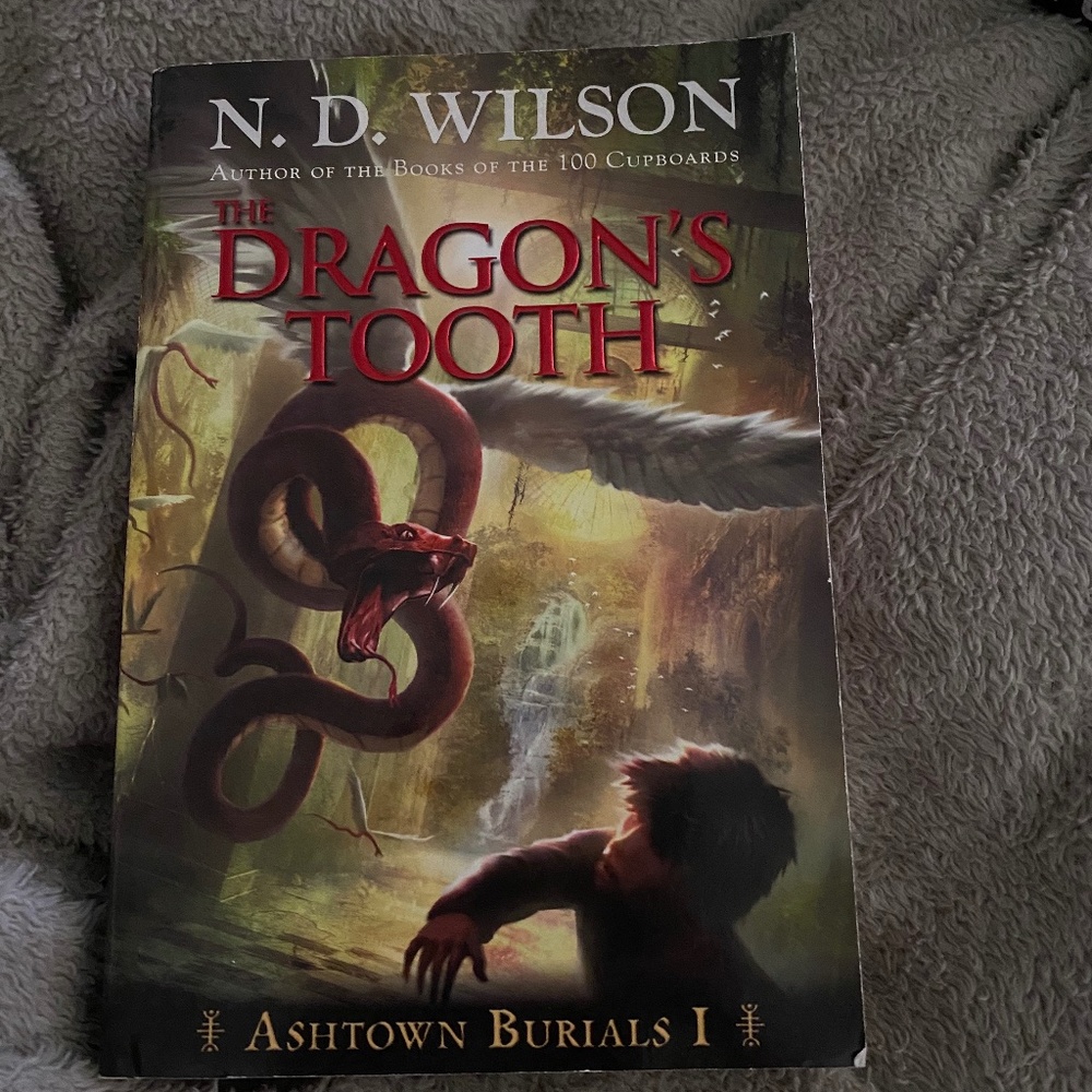 The Dragon’s Tooth N.D. Wilson Soft Cover Book